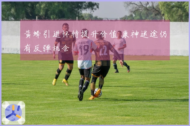黄蜂引进怀特提升价值 康神迷途仍有反弹机会